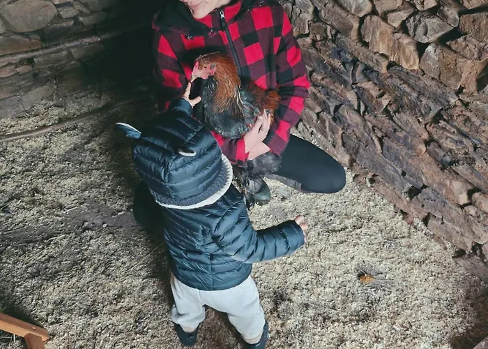 Bed & Breakfast La Ferme De Vazerat 3*